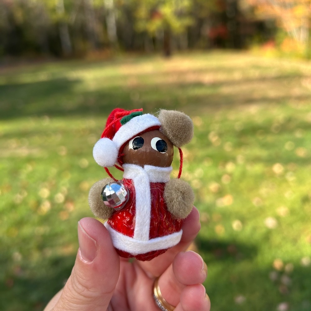5/$25 Festive Santa Ornament with Red and White Accents 🐿️